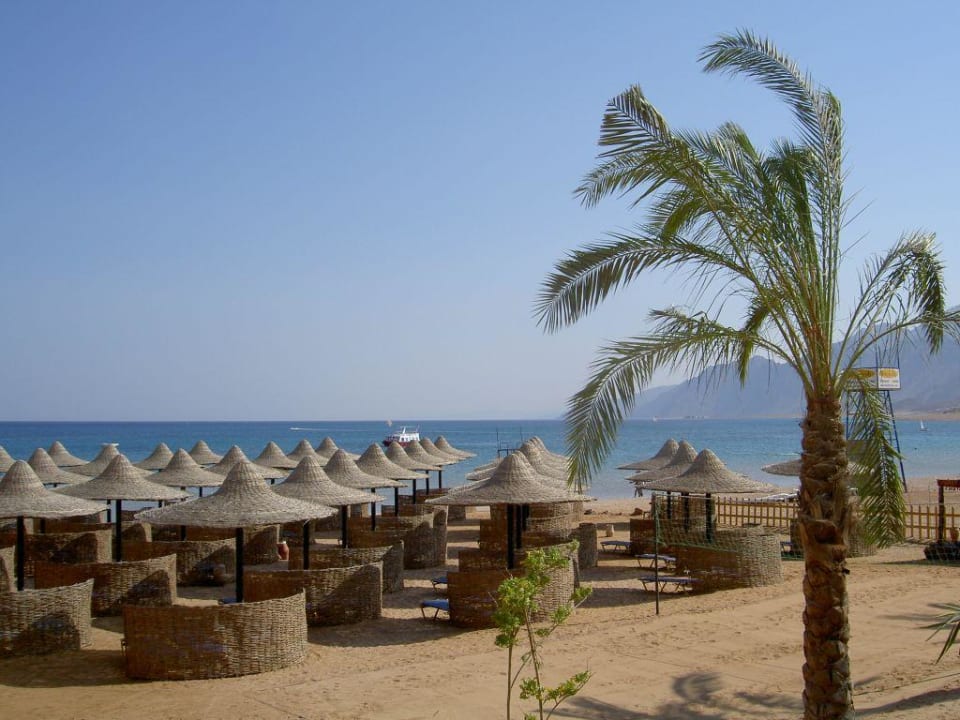 Blick vom Pool zum Strand JAZ Dahabeya