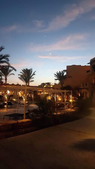 Außenansicht Steigenberger Coraya Beach - Adults only