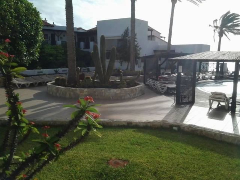 Blick aus dem Zimmer der Privat Lodge TUI MAGIC LIFE Fuerteventura