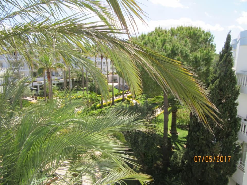 Widok z pokoju Iberostar Selection Albufera Park