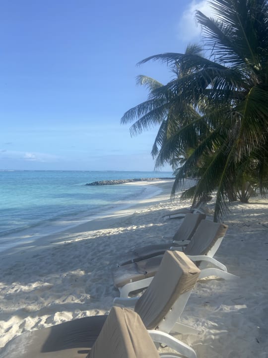 Strand Summer Island Maldives