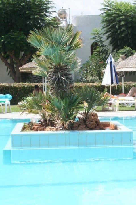 Pool Sentido Kyknos Beach Adults Only 16+