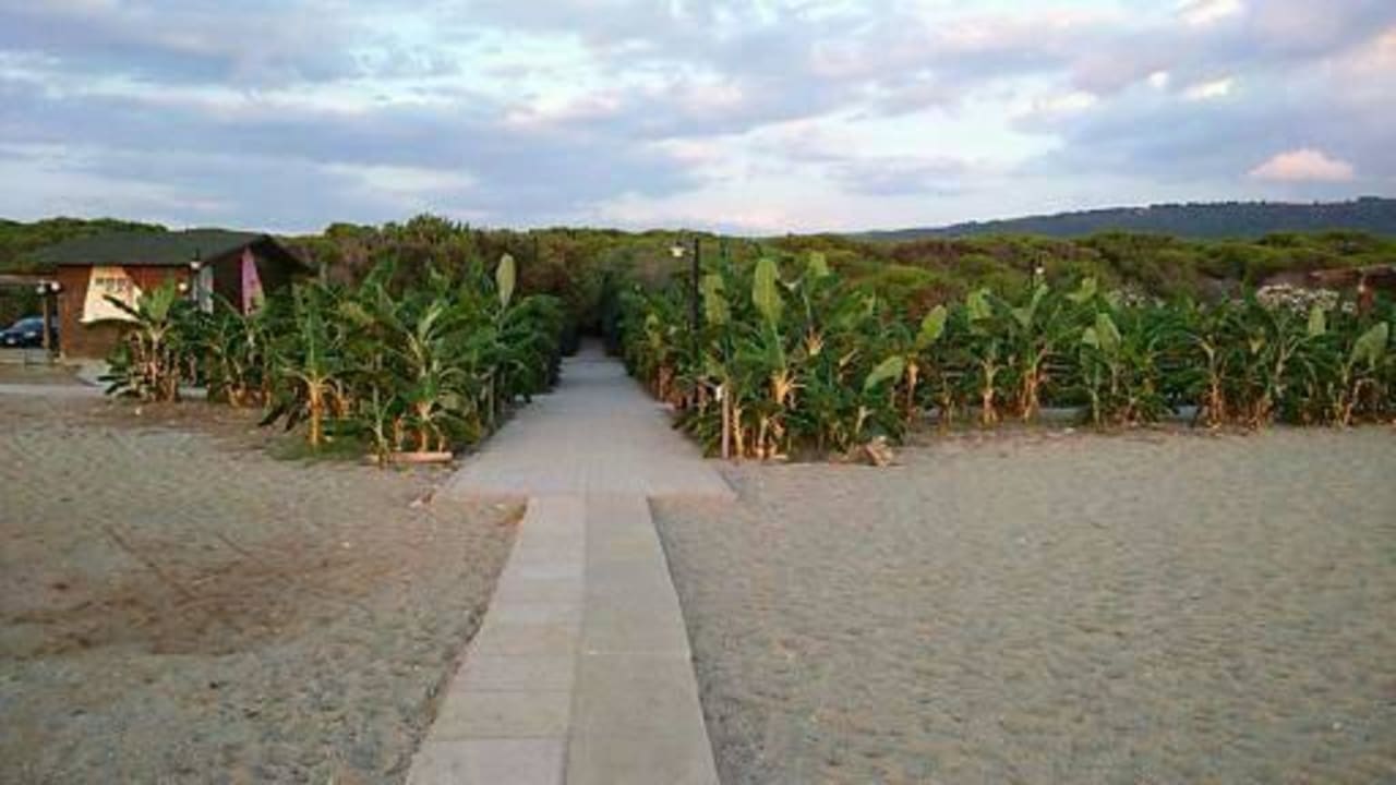 Plaża Falkensteiner Club Funimation Garden Calabria