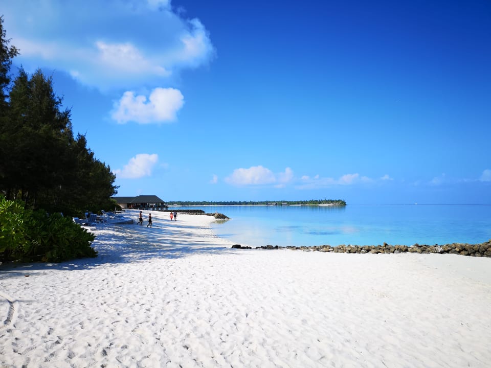 Strand Summer Island Maldives