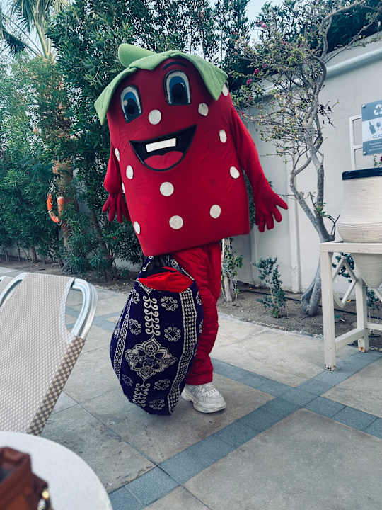 Außenansicht Jaz Soma Beach