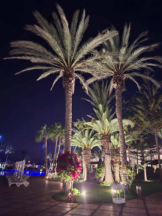 Pool Iberostar Waves Founty Beach