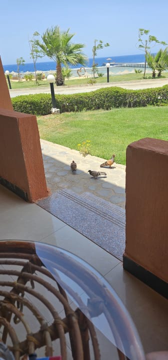 Sonstiges Three Corners Happy Life Beach Resort