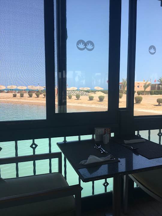 Gastro Club Paradisio El Gouna, Red Sea