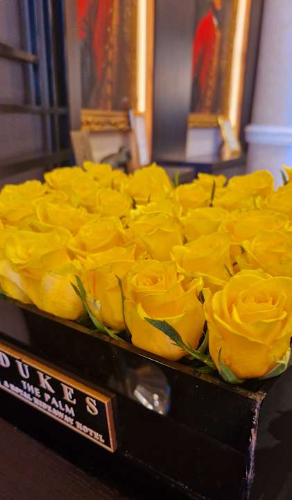 Lobby Dukes The Palm Dubai Hotel