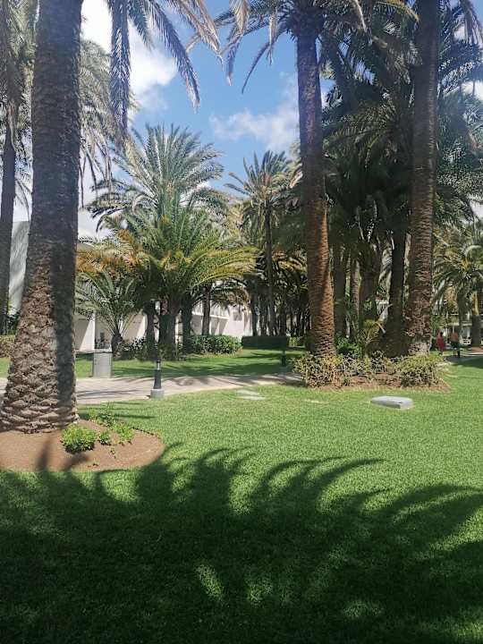 Gartenanlage Hotel Riu Palace Oasis