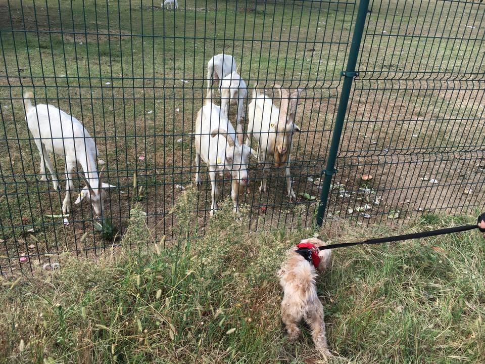 Parkplatz Idea Hotel Milano San Siro