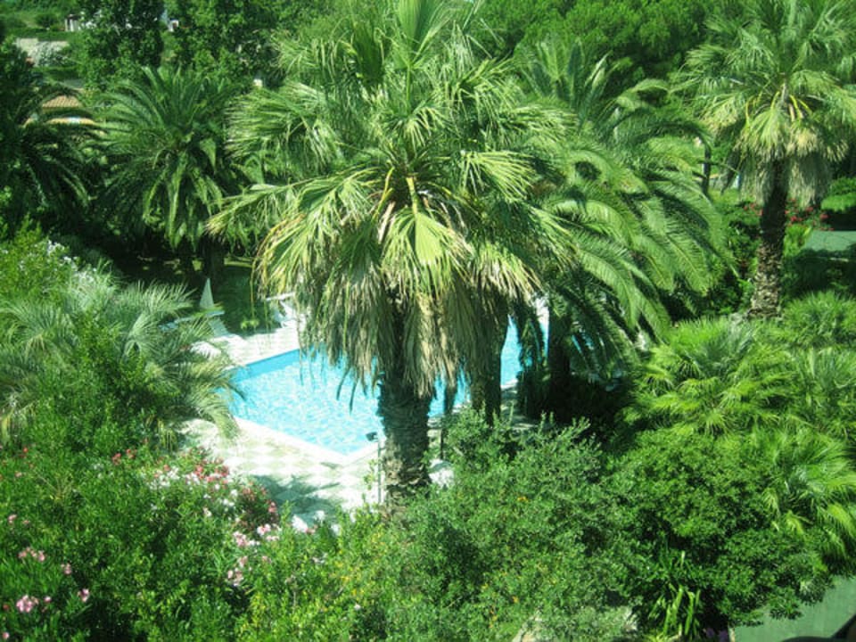 Giardino Hotel Barracuda