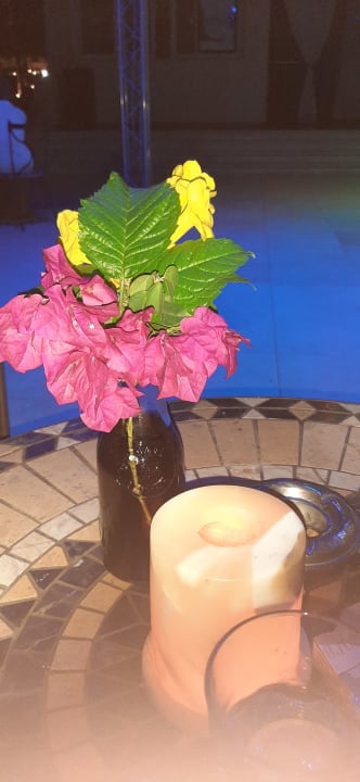 Sonstiges Cleopatra Luxury Resort Makadi Bay