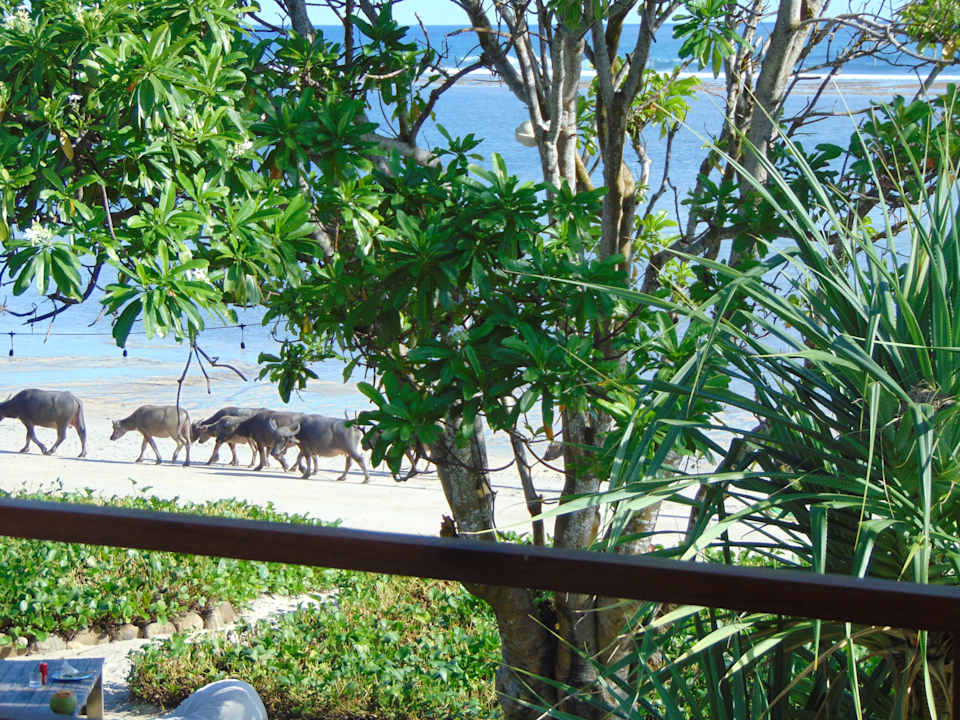 Strand Amber Lombok Beach Resort