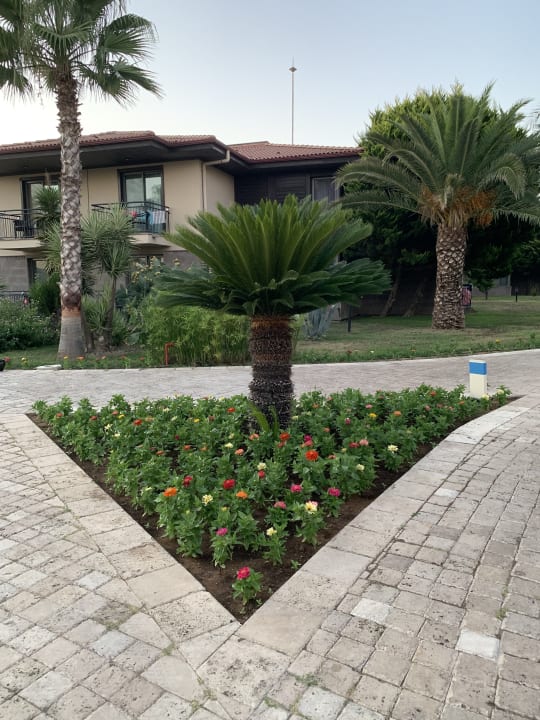 Gartenanlage TUI BLUE Palm Garden