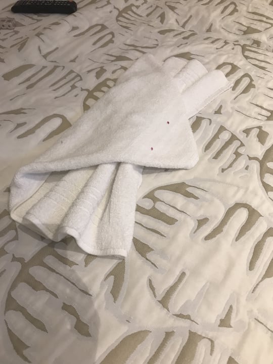 Zimmer Son Moll Sentits Hotel & Spa