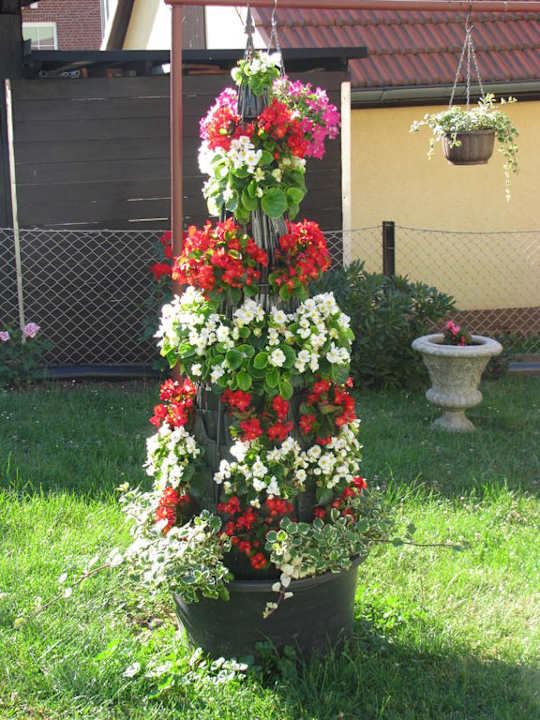 Im Garten der Pension Pension Möhring