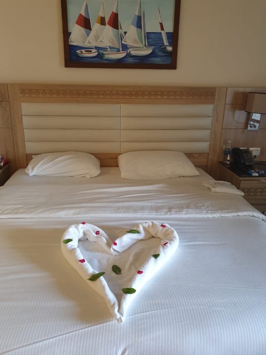 Zimmer Pickalbatros Citadel Resort