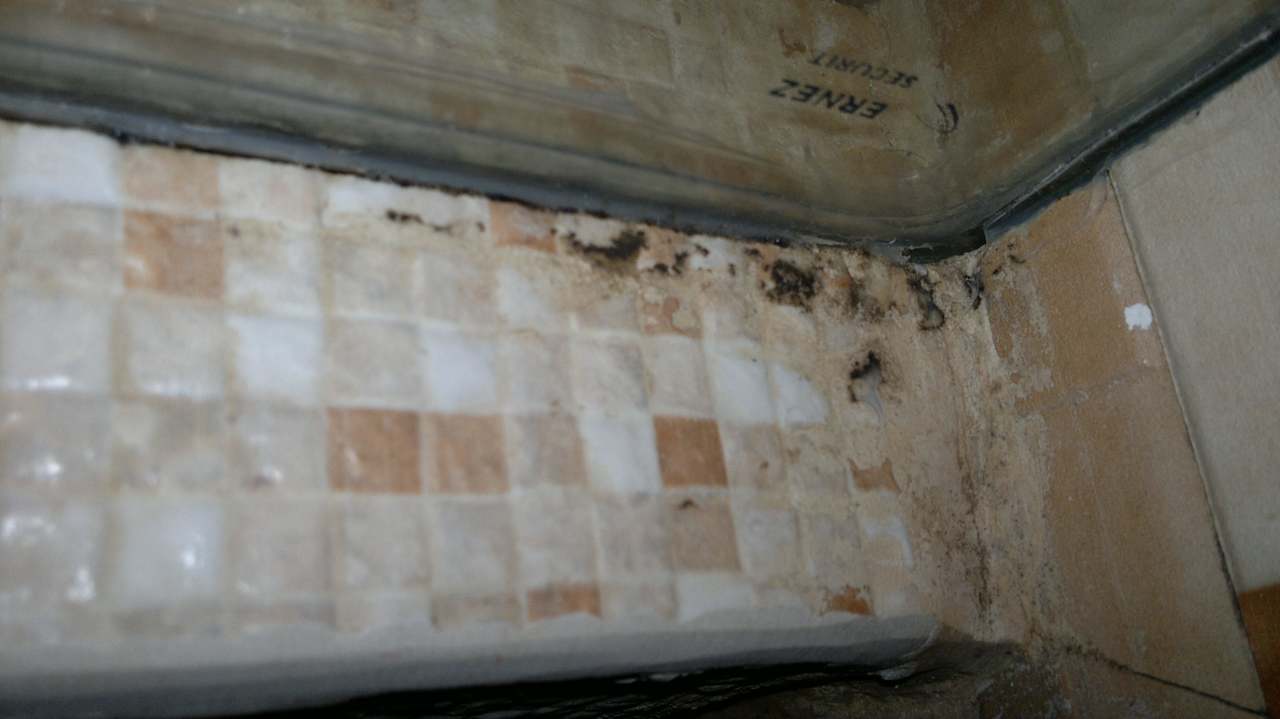 Schimmel in allen sanitären Anlagen Mahdia Beach & Aquapark