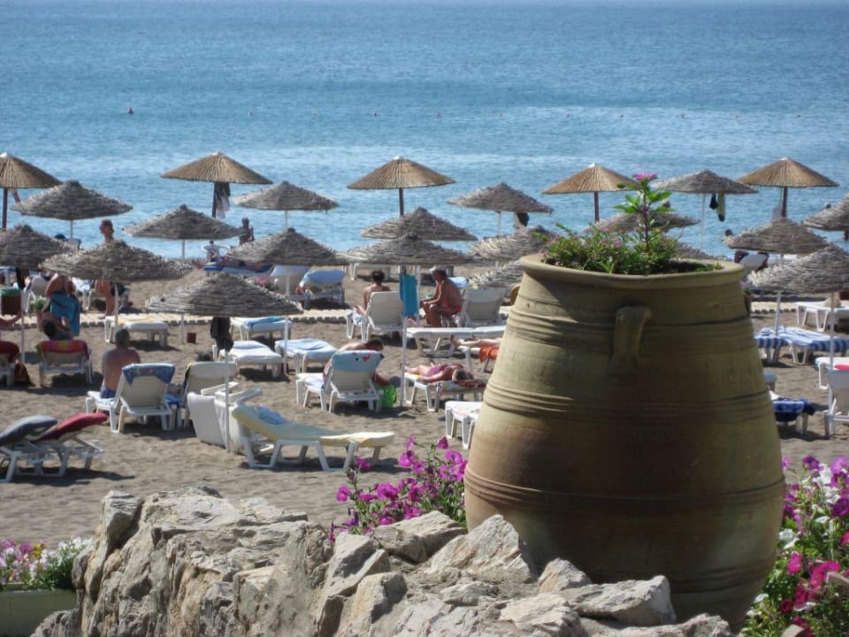 Blick auf den Strand Hotel Calypso Beach