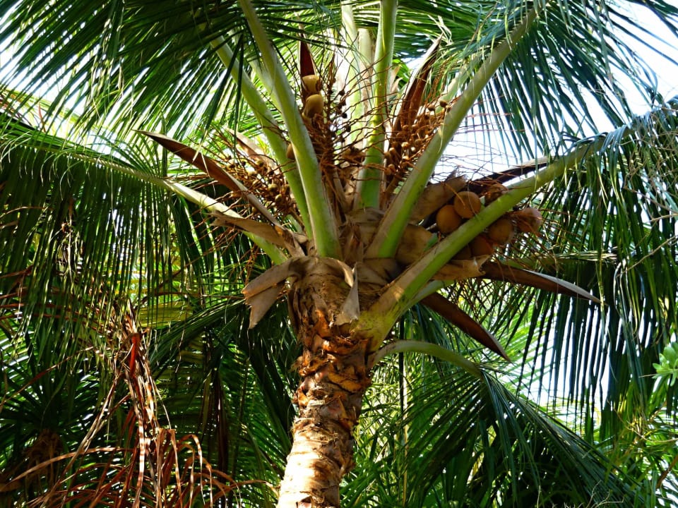 Strand Kuredu Island Resort & Spa