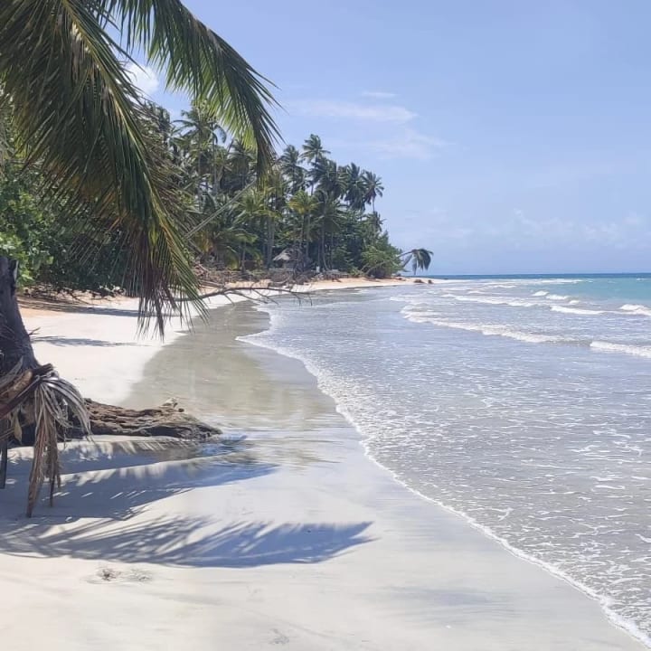 Strand Viva V Samana by Wyndham – Adults Only
