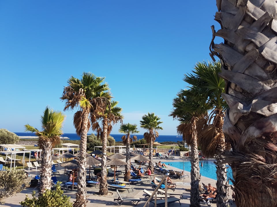 Pool Atlantica Plimmiri