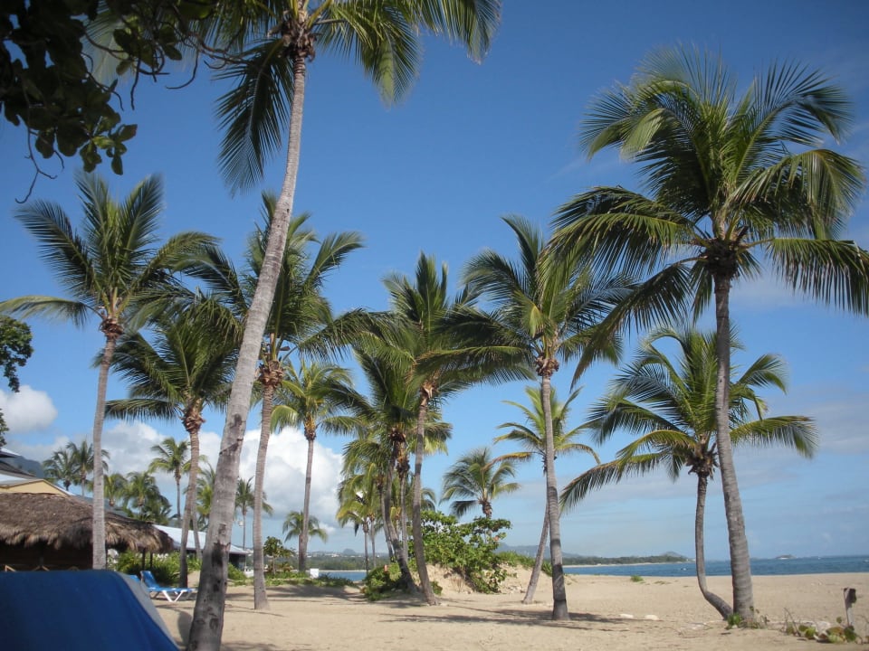 Palmenstrand Grand Paradise Playa Dorada