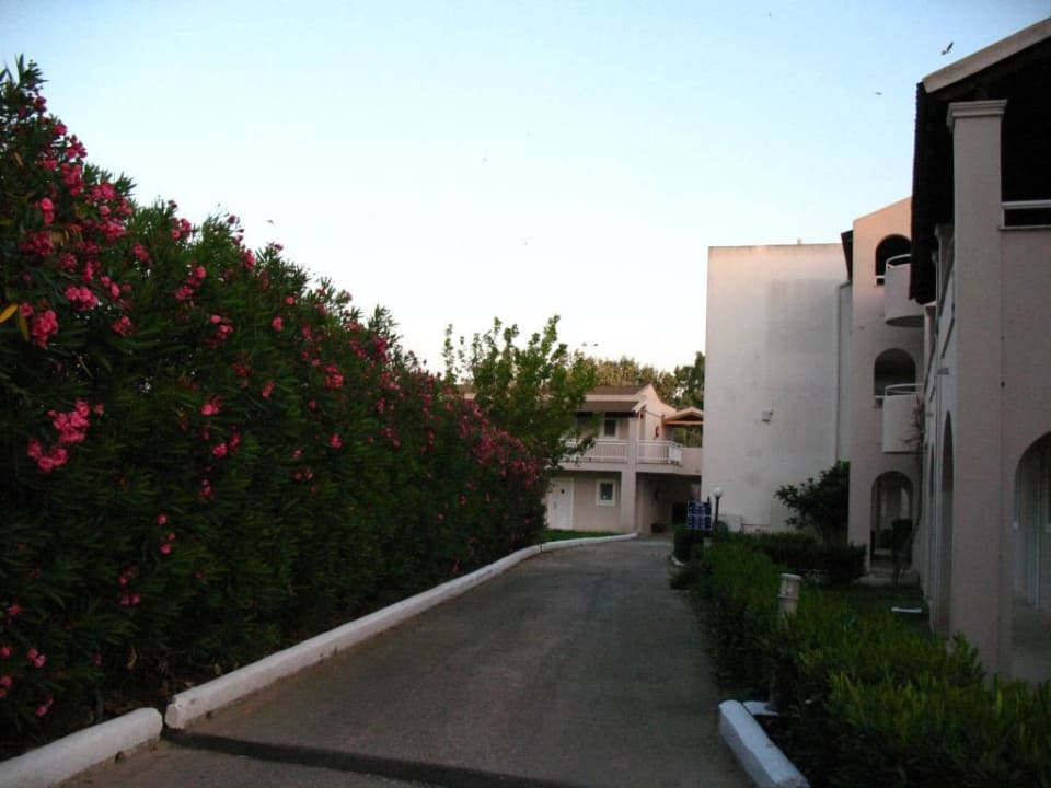 Hotel Sandy Beach Resort