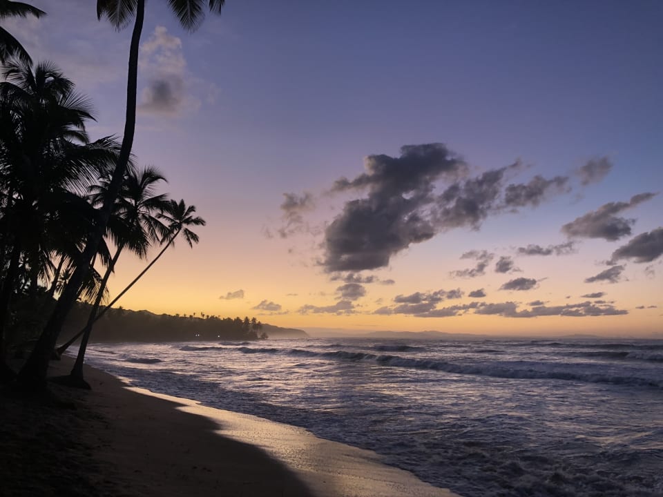 Strand Viva Wyndham Samaná