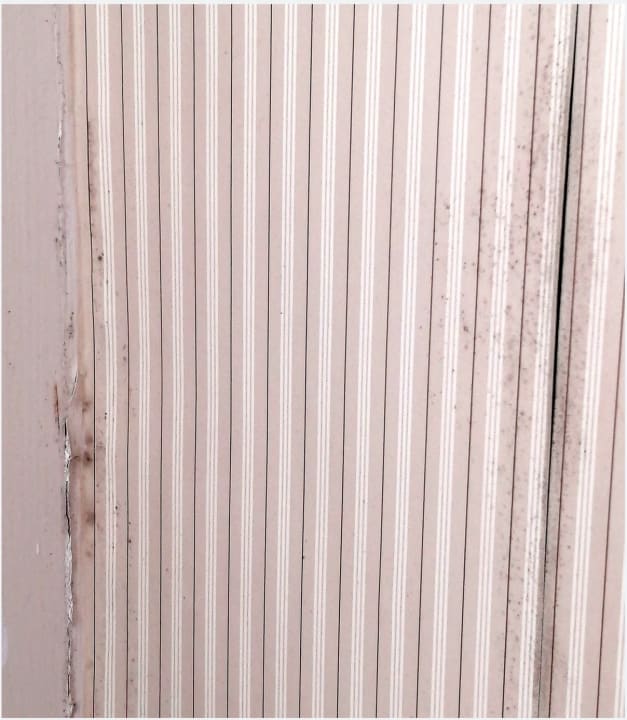 Zimmer The Manhattan at Times Square Hotel