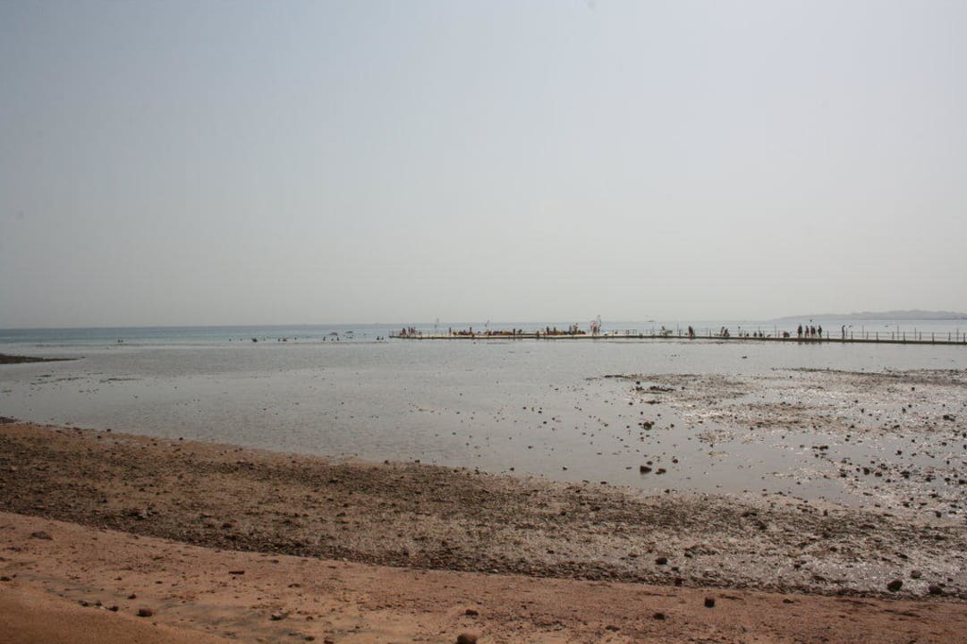 Strand bei Ebbe Pickalbatros Palace Resort