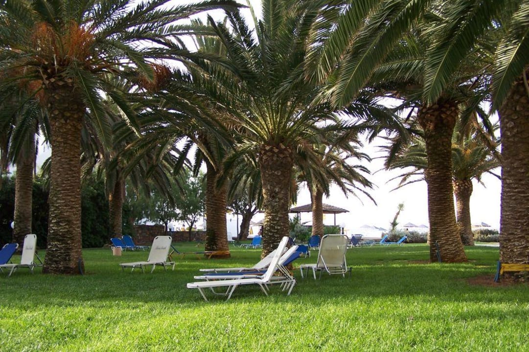 Garten Calimera Sirens Beach