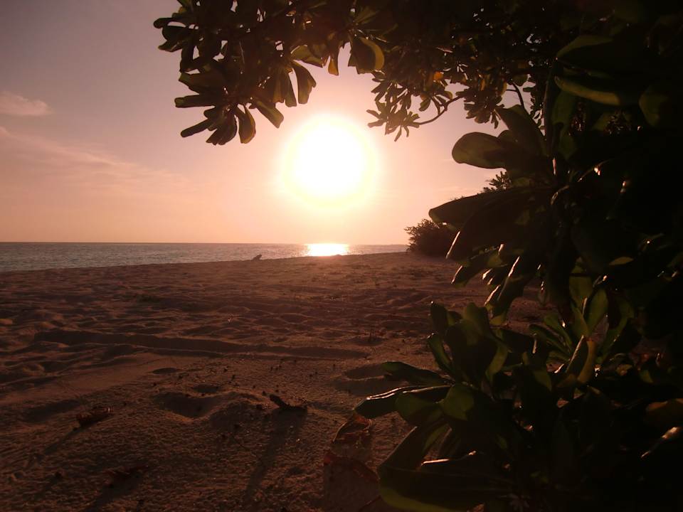 Sunset Seite Palm Beach Resort & Spa Maldives