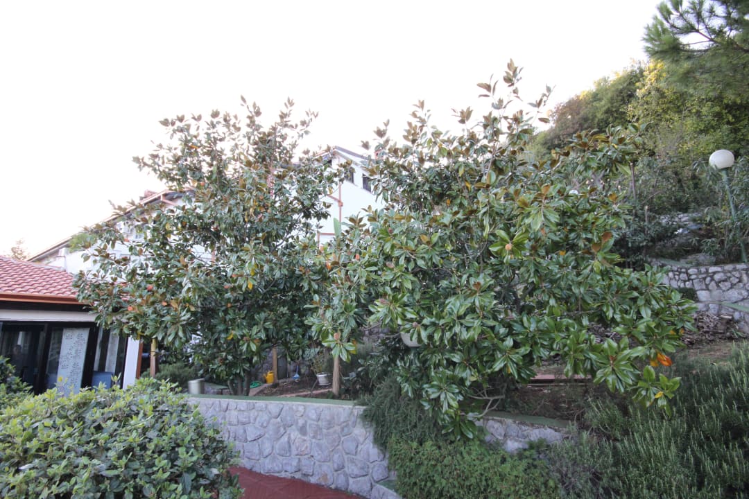 Garten Hotel Villa Vranjes