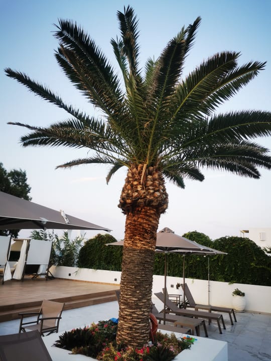 Pool Hotel Kathrin Beach