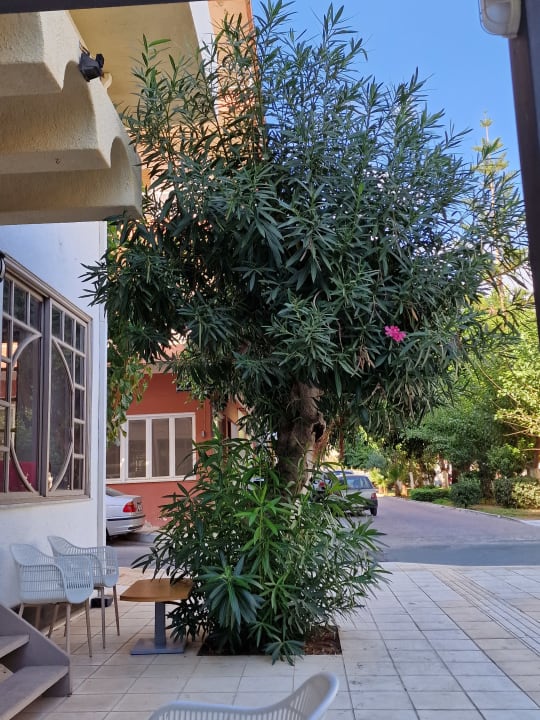 Ausblick Apollon Hotel