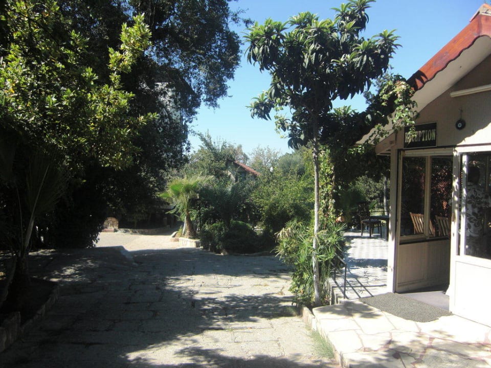 Rezeption Hotel Neptün/Neptun