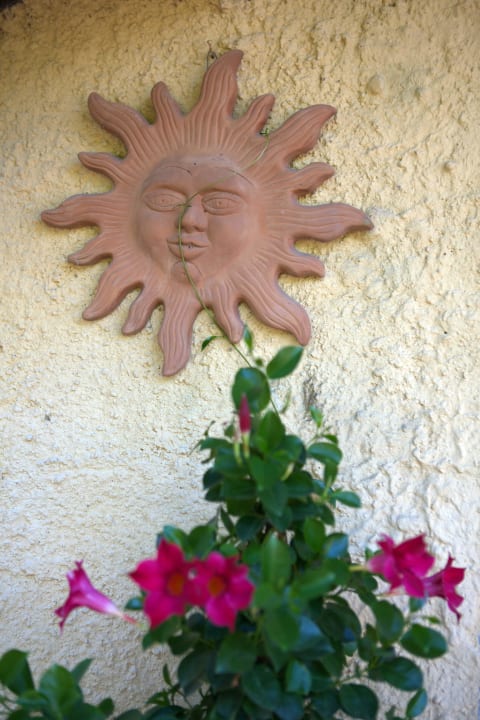Sun and flowers are a feature of Tuscany Villa Poggio Di Gaville