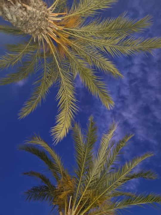 Gartenanlage BQ Sarah