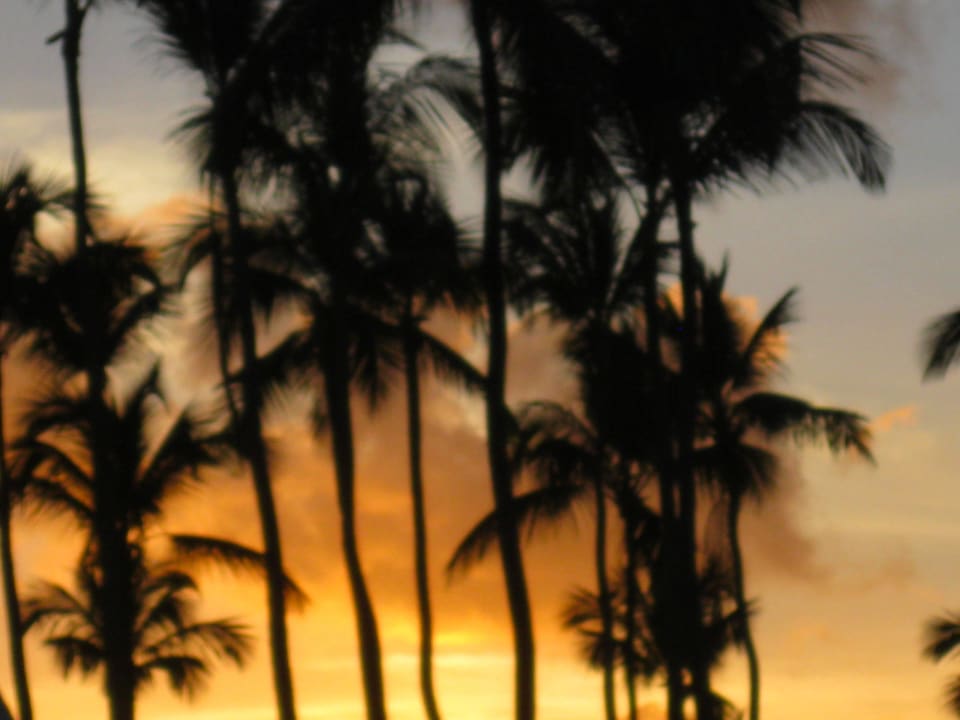 Toll, oder? Vista Sol Punta Cana