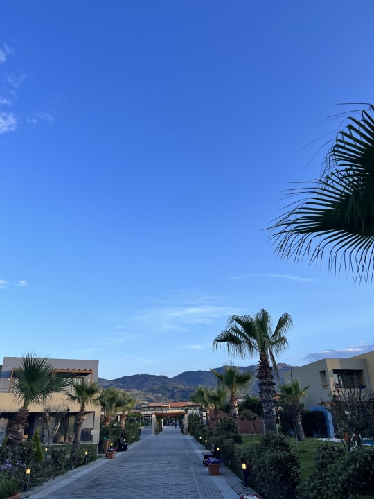 Gartenanlage Astir Odysseus Kos Resort & Spa