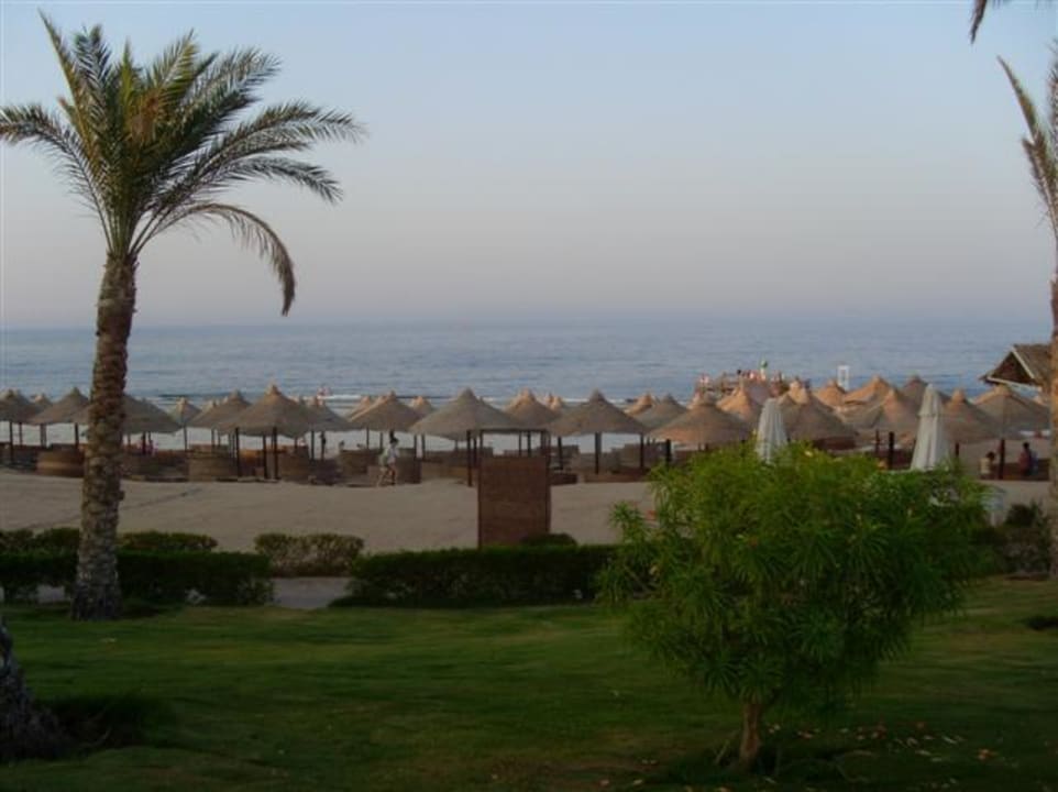 Strand am Abend Serenity Alpha Beach