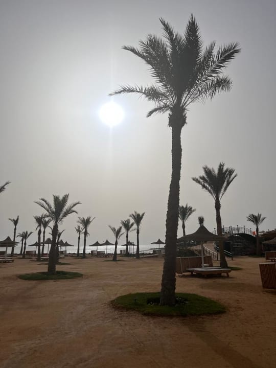 Ausblick Desert Rose