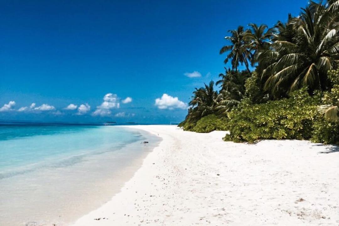 Strand vor den Standardzimmern Fihalhohi Maldives
