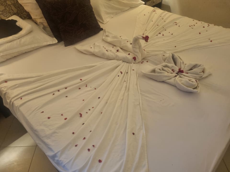 Zimmer Hotel Rosa Beach