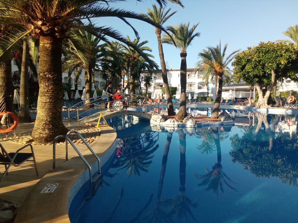 Pool Alcudia Garden Aparthotel