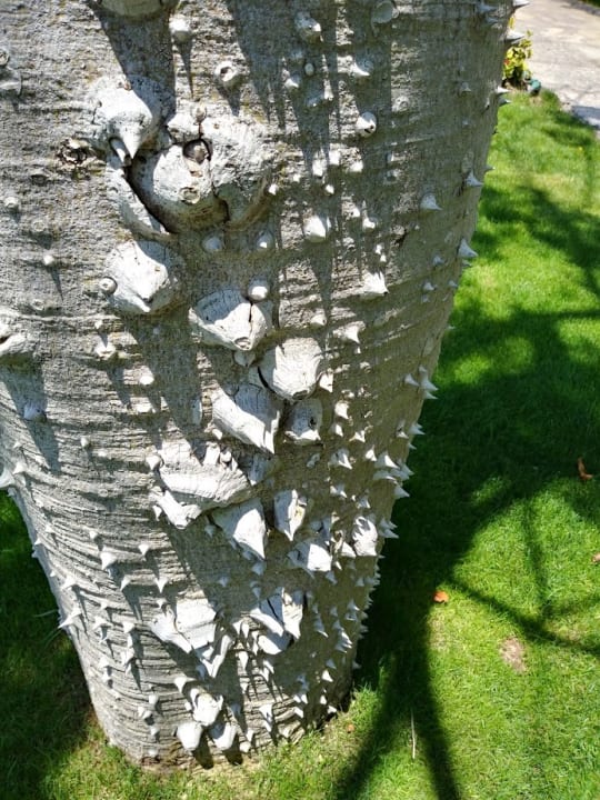Gartenanlage Lara Barut Collection