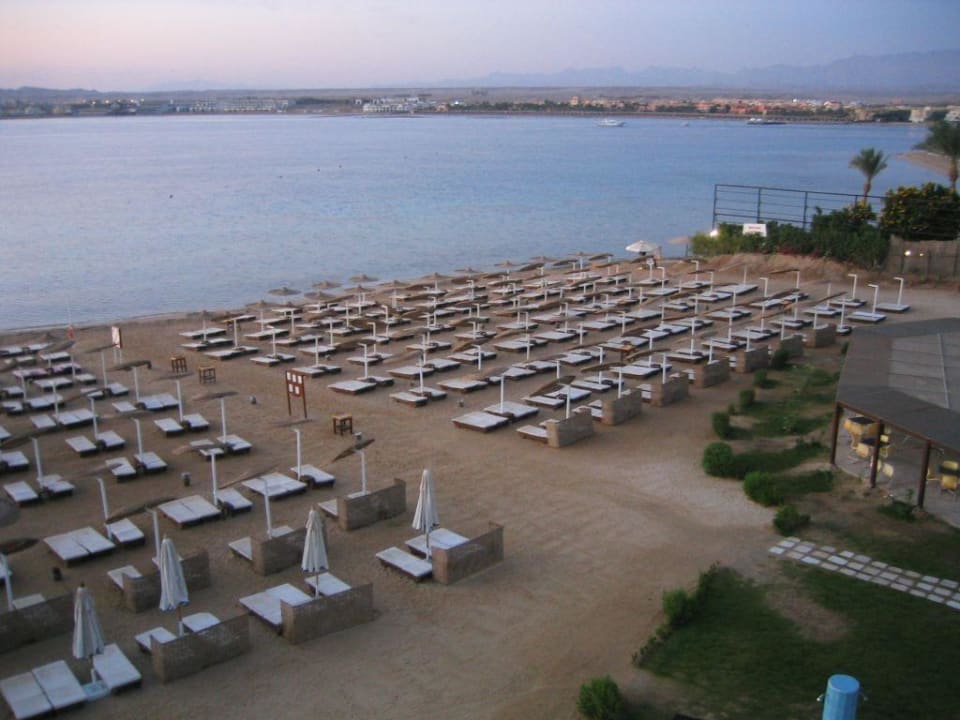 Strand und Liegen! Prima Life Makadi Resort