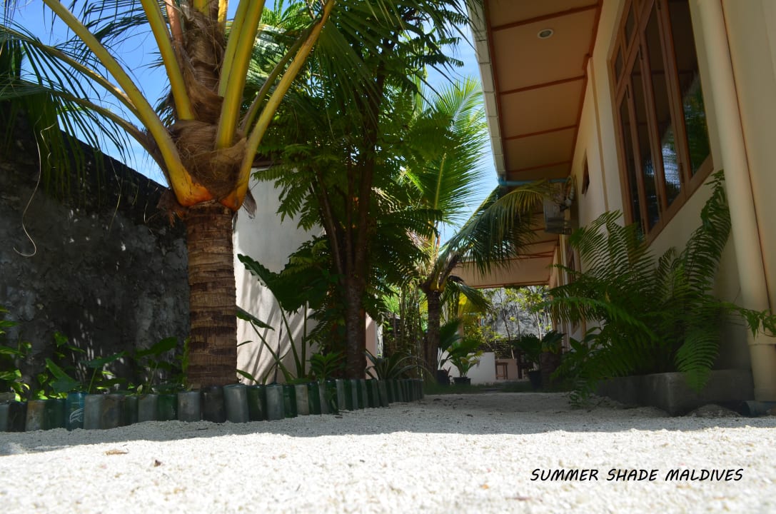 Außenansicht Summer Shade Maldives